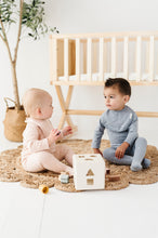 Load image into Gallery viewer, Brushed cotton celestial bib - Pink
