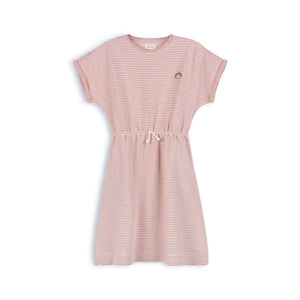Metallic stripe dress - Pink