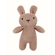 Load image into Gallery viewer, 100% Organic Cotton Knitted Pink Baby Blanket and Bunny Set
