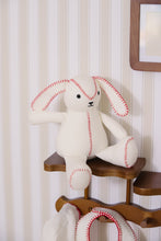 Load image into Gallery viewer, Toile bunny - Red
